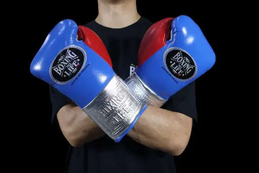 Matte Trial 10 oz - Guantes Para Pelea 