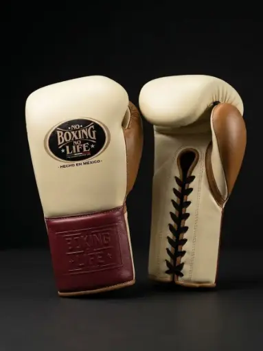 Boxing Gloves Burgundy Pearl Edition Special 