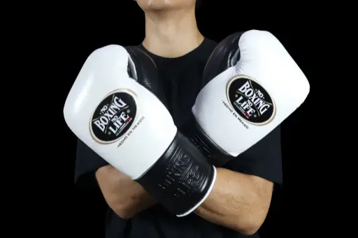 Boxing Gloves White & Black