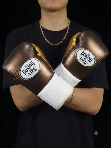 Boxing Gloves Bronze & White