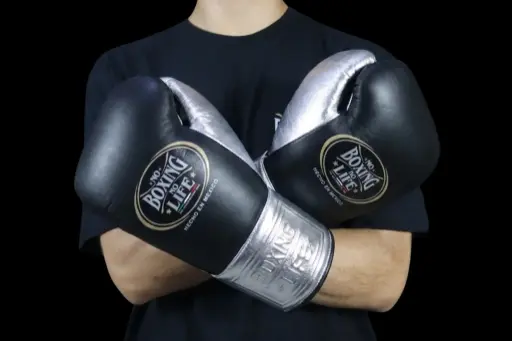 Boxing Gloves Black & Silver
