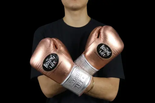 Boxing Gloves Copper Silver